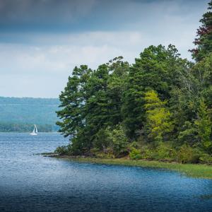 A calm body of water next to trees