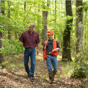 Two people walking in a forest. One carrying a clipboard and wearing high-visibility protective gear