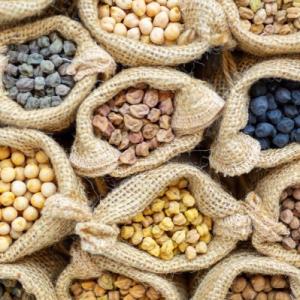 Cloth bags of different varieties of chickpeas
