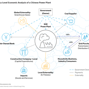 info graphic, web of interconnected symbols, Country-Level Economic Analysis of a Chinese Power Plant