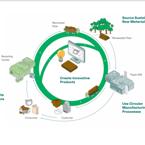 Info graphic. Circular flow Source Sustainable Raw Materials, Create Innovative Products, , Use Circular Manufacturing Proocesses, Collaborate on Solutions.