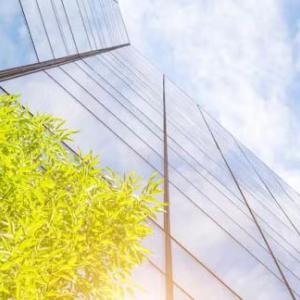 Looking up the side of a city building towards the sky, with a tree in front on the building 