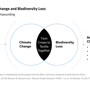 Double Trouble: Climate Change and Biodiversity Loss Infographic 