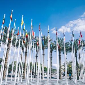 did COP28 deliver?