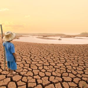 Person standing in desert