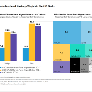 Info graphic bar charts "Key Climate Benchmark Has Large Weights in Giant US Stocks"