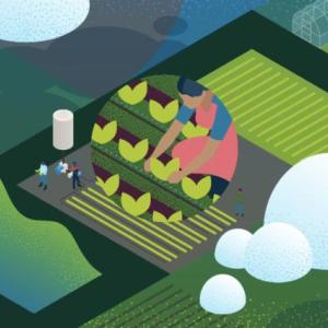 Abstract image of a farm field, three zoomed in circles of people planting, and crops.