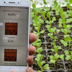 A person holding a cellphone open to an app with PH levels showing. Rows of seedlings behind them.