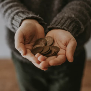 Global Impact Investing Network article - image