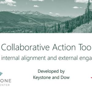 Dow Graphic reads: Collaborative Action Toolkit. For internal alignment and external engagement 
