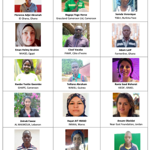 collage of headshots