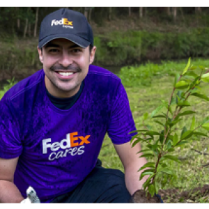 A volunteer next to a small tree in the ground.
