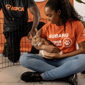 person holding rabbit
