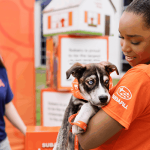 person holding a dog