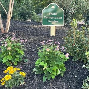 A garden with sign "Veolia conservation garden".