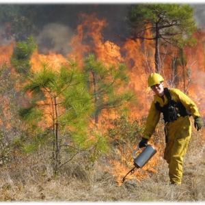firefighter assisting a controlled burn