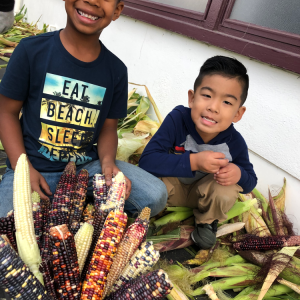 two children sitting with a bunch of corn and husks all around them