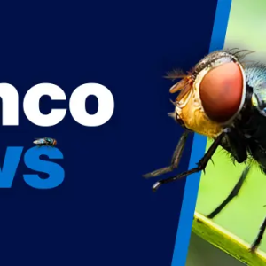 Elanco News: Credelio