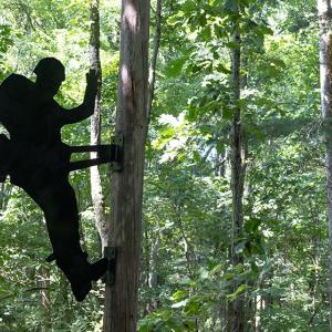a black cutout of a military person on the side of a tree