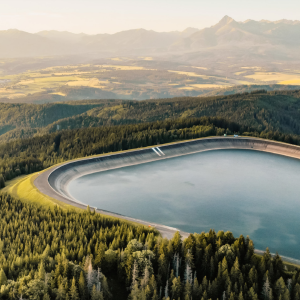 reservoir and forest