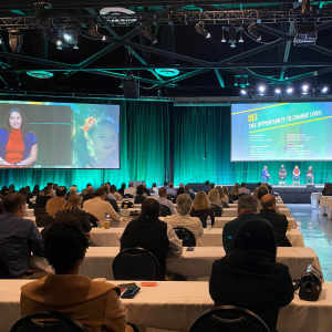DEI conference