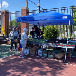 Farmer's market