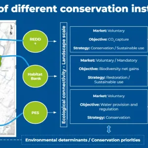 An example of how the SLA can be implemented. Several project types can be combined within a landscape’s boundaries.