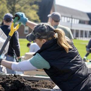 People digging in raised garden beds.