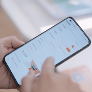 a person's hands using a cell phone. screen shows a program in another language