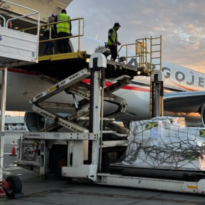 Sixteen tons of medical aid from Direct Relief are loaded onto a 757 charter in Miami bound for Kingston, Jamaica, on Nov. 8, 2025. The shipments contain essential medicines and supplies requested by Jamaica's Ministry of Health and Wellness after Hurricane Melissa. (Photos by Patrick Jackson)