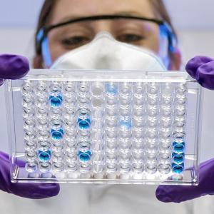 scientist looking at an experiment