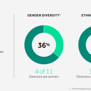 diversity pie charts, 64% board of directors gender diversity, broken down to two graphs of gender and ethnic diversity