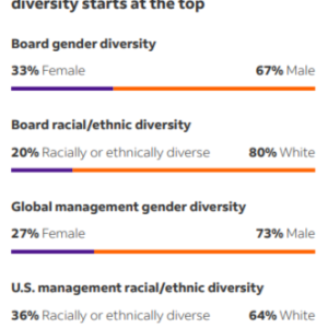 Info Graphic "Our commitment to diversity starts at the top" and statistics for Board and upper management diversity.