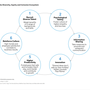 six point chart of "the diversity, equity and inclusion ecosystems"