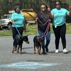 Volunteers walking two dogs.