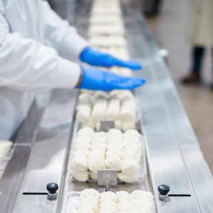 Dough on production line