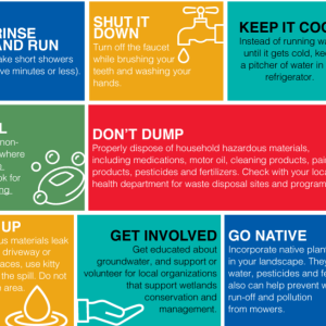 Info graphic of 8 ways to save water from shorter showers, keeping water in the fridge to cool, not dumping chemicals, using litter to contain oil spills, to landscaping with native plants and using more natural cleaners.