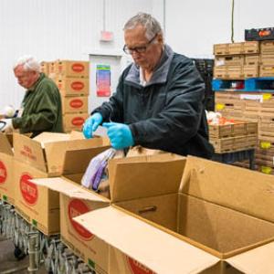 volunteers pack boxes with food