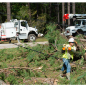 Worker walking through down trees and branches. A powerline down behind them.