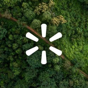white Walmart logo on top of a forest background