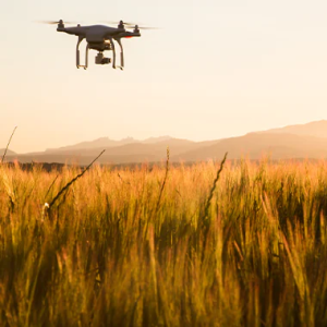 Drone flying over field