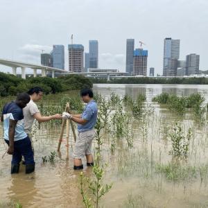 Three people standing in marshland