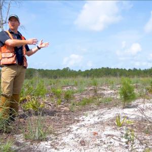 Forester gesturing at dry ground while speaking