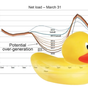 duck graph
