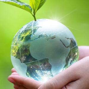 Two hands holding a crystal globe. Green leaves sprouting from the top.