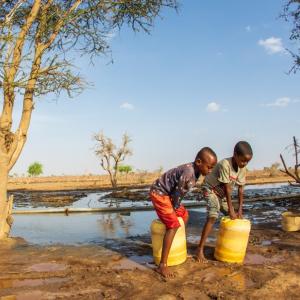 Drought in parts of Africa will lead to water scarcity and illness for millions. 