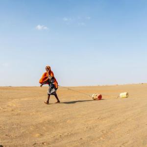 El Nino will lead to dry, hot temperatures for many regions. 