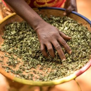 As El Nino threatens the lives and livelihoods of millions, we're partnering with local communities to build climate-resilience.