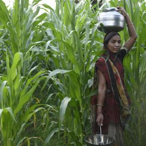 El Nino will affect crops throughout Southeast Asia. 