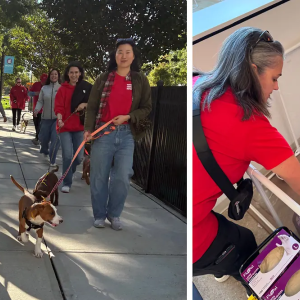 Henkel employees volunteering